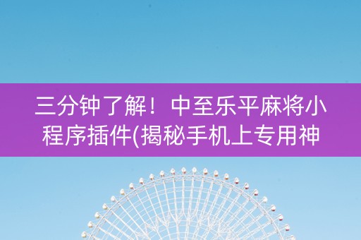 三分钟了解！中至乐平麻将小程序插件(揭秘手机上专用神器)