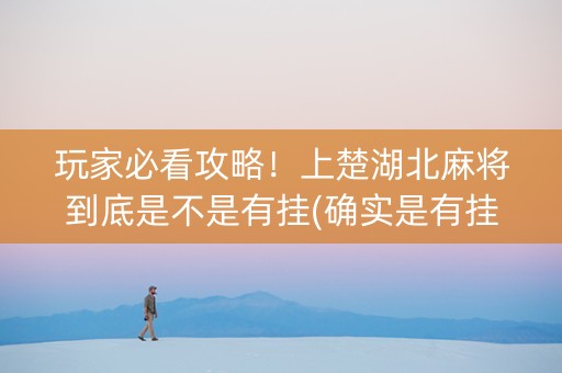 玩家必看攻略！上楚湖北麻将到底是不是有挂(确实是有挂的)