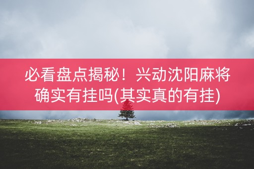 必看盘点揭秘！兴动沈阳麻将确实有挂吗(其实真的有挂)