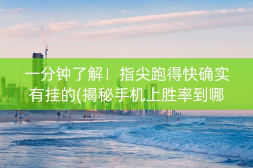 一分钟了解！指尖跑得快确实有挂的(揭秘手机上胜率到哪调)