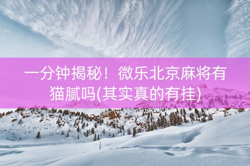一分钟揭秘！微乐北京麻将有猫腻吗(其实真的有挂)
