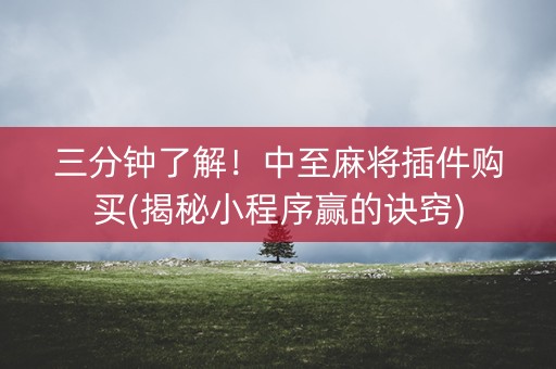 三分钟了解！中至麻将插件购买(揭秘小程序赢的诀窍)