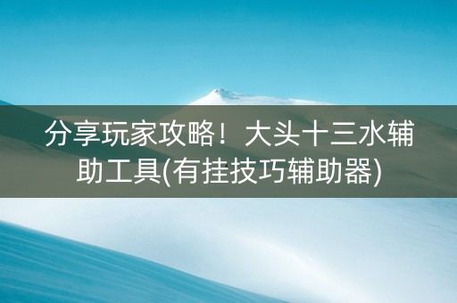 分享玩家攻略！大头十三水辅助工具(有挂技巧辅助器)