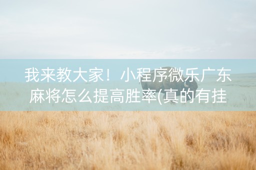 我来教大家！小程序微乐广东麻将怎么提高胜率(真的有挂确实有挂)