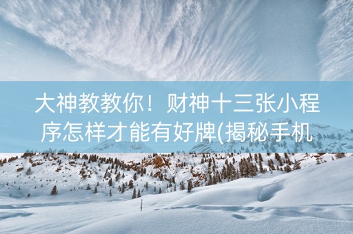 大神教教你！财神十三张小程序怎样才能有好牌(揭秘手机上辅牌器)