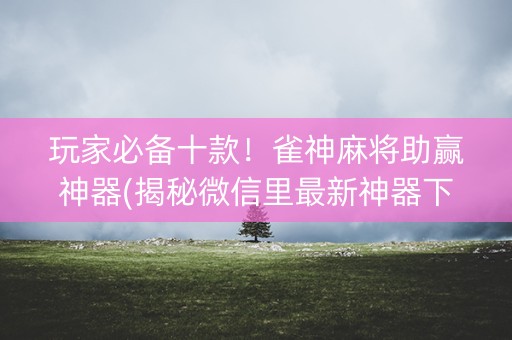 玩家必备十款！雀神麻将助赢神器(揭秘微信里最新神器下载)