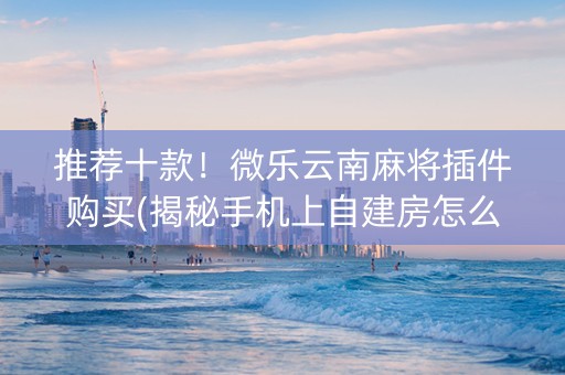 推荐十款！微乐云南麻将插件购买(揭秘手机上自建房怎么赢)