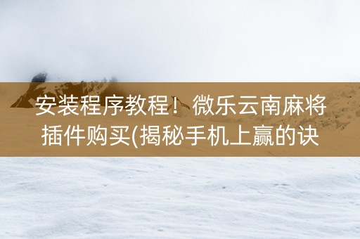 安装程序教程！微乐云南麻将插件购买(揭秘手机上赢的诀窍)