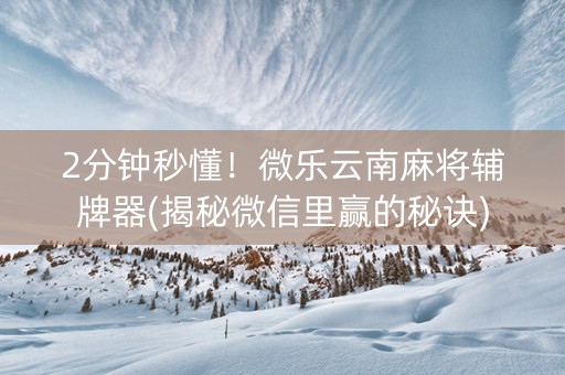 2分钟秒懂！微乐云南麻将辅牌器(揭秘微信里赢的秘诀)