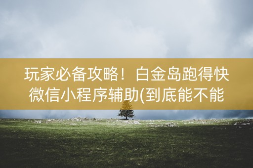 玩家必备攻略！白金岛跑得快微信小程序辅助(到底能不能开挂)