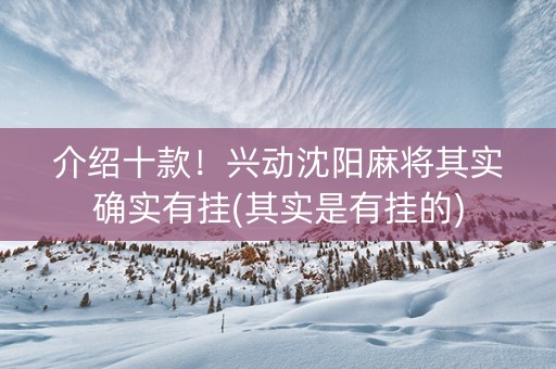 介绍十款！兴动沈阳麻将其实确实有挂(其实是有挂的)