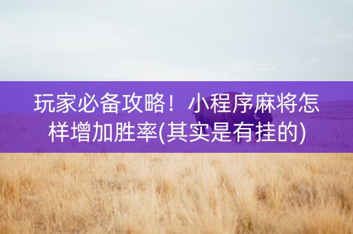 玩家必备攻略！小程序麻将怎样增加胜率(其实是有挂的)