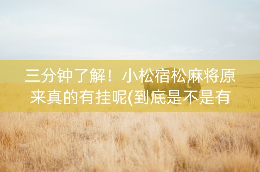 三分钟了解！小松宿松麻将原来真的有挂呢(到底是不是有挂)