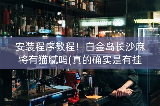 安装程序教程！白金岛长沙麻将有猫腻吗(真的确实是有挂)