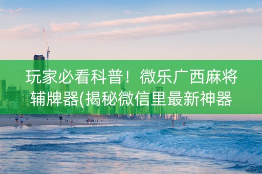 玩家必看科普！微乐广西麻将辅牌器(揭秘微信里最新神器下载)