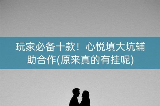 玩家必备十款！心悦填大坑辅助合作(原来真的有挂呢)