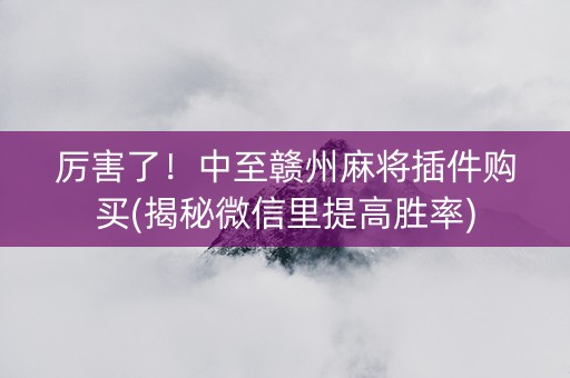 厉害了！中至赣州麻将插件购买(揭秘微信里提高胜率)