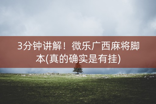 3分钟讲解！微乐广西麻将脚本(真的确实是有挂)