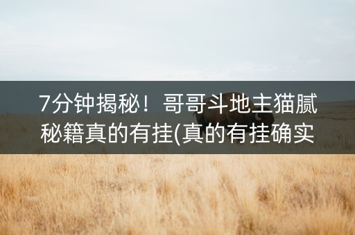 7分钟揭秘！哥哥斗地主猫腻秘籍真的有挂(真的有挂确实有挂)