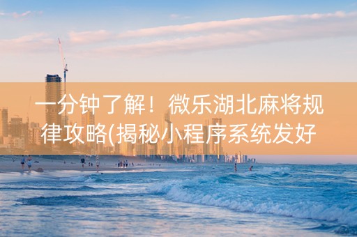 一分钟了解！微乐湖北麻将规律攻略(揭秘小程序系统发好牌)