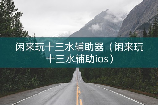 闲来玩十三水辅助器（闲来玩十三水辅助ios）