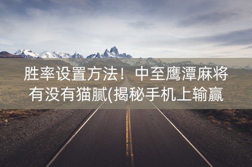 胜率设置方法！中至鹰潭麻将有没有猫腻(揭秘手机上输赢技巧)