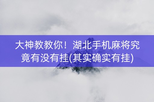 大神教教你！湖北手机麻将究竟有没有挂(其实确实有挂)