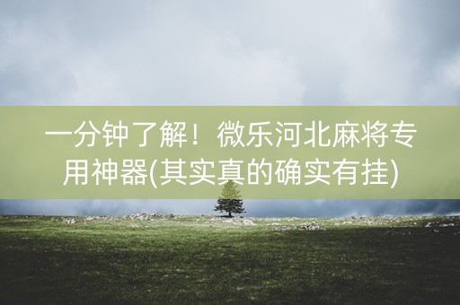 一分钟了解！微乐河北麻将专用神器(其实真的确实有挂)