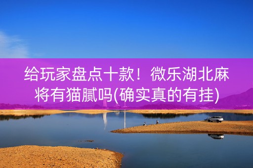 给玩家盘点十款！微乐湖北麻将有猫腻吗(确实真的有挂)