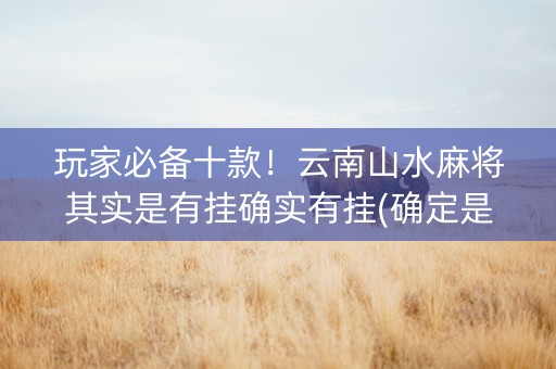 玩家必备十款！云南山水麻将其实是有挂确实有挂(确定是有挂)
