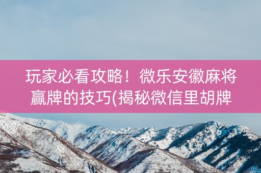 玩家必看攻略！微乐安徽麻将赢牌的技巧(揭秘微信里胡牌技巧)