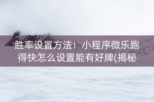 胜率设置方法！小程序微乐跑得快怎么设置能有好牌(揭秘小程序输赢规律)