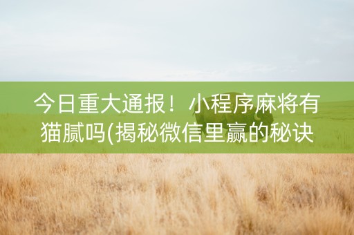 今日重大通报！小程序麻将有猫腻吗(揭秘微信里赢的秘诀)