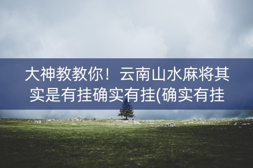 大神教教你！云南山水麻将其实是有挂确实有挂(确实有挂)