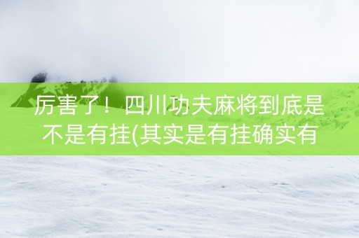 厉害了！四川功夫麻将到底是不是有挂(其实是有挂确实有挂)