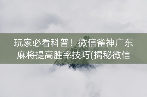 玩家必看科普！微信雀神广东麻将提高胜率技巧(揭秘微信里提高胜率)
