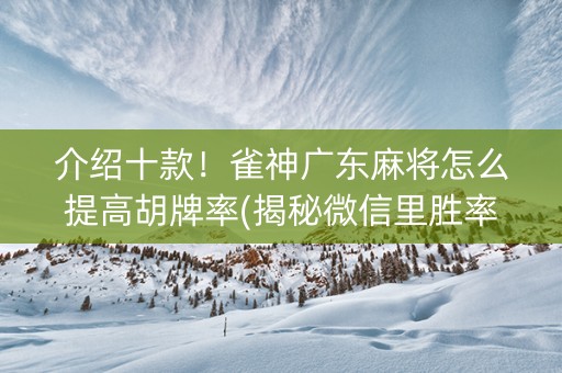 介绍十款！雀神广东麻将怎么提高胡牌率(揭秘微信里胜率到哪调)