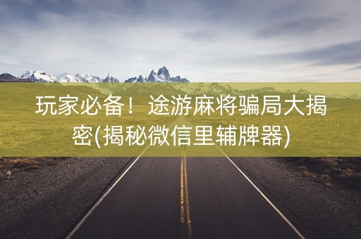 玩家必备！途游麻将骗局大揭密(揭秘微信里辅牌器)