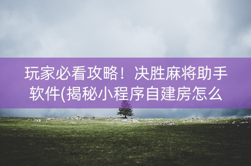 玩家必看攻略！决胜麻将助手软件(揭秘小程序自建房怎么赢)