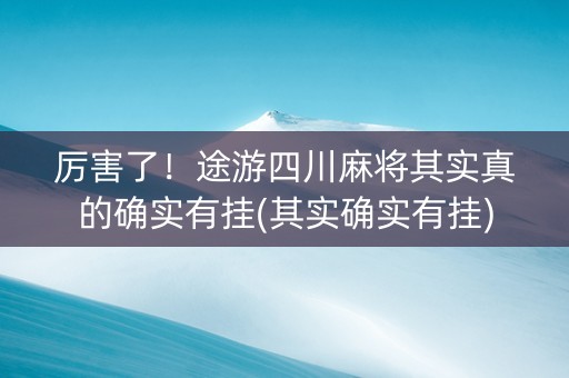 厉害了！途游四川麻将其实真的确实有挂(其实确实有挂)