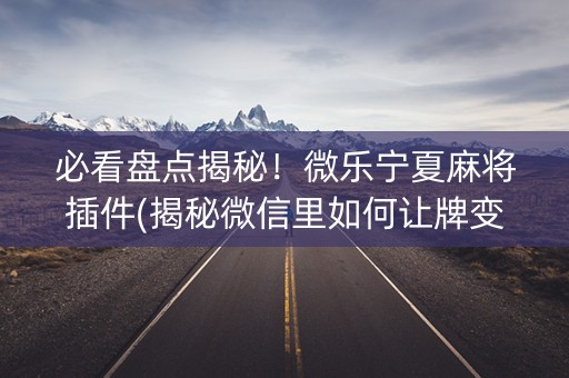 必看盘点揭秘！微乐宁夏麻将插件(揭秘微信里如何让牌变好)