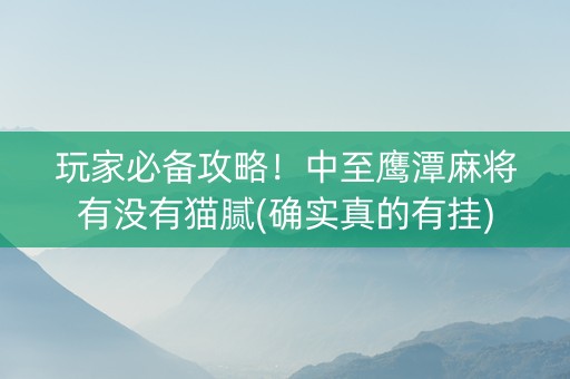 玩家必备攻略！中至鹰潭麻将有没有猫腻(确实真的有挂)