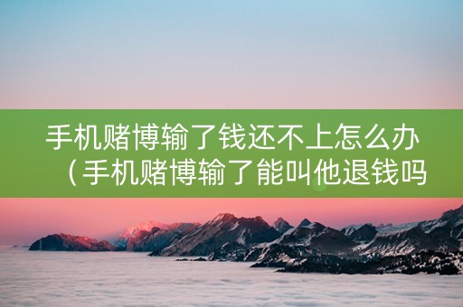 手机赌博输了钱还不上怎么办（手机赌博输了能叫他退钱吗）