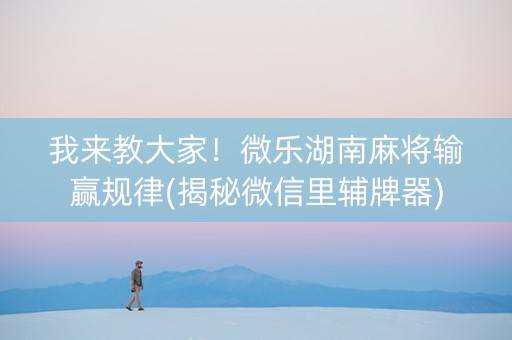 我来教大家！微乐湖南麻将输赢规律(揭秘微信里辅牌器)