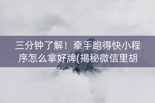 三分钟了解！牵手跑得快小程序怎么拿好牌(揭秘微信里胡牌技巧)