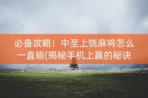 必备攻略！中至上饶麻将怎么一直输(揭秘手机上赢的秘诀)