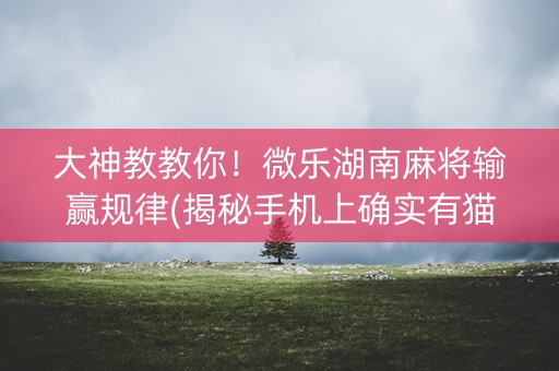 大神教教你！微乐湖南麻将输赢规律(揭秘手机上确实有猫腻)