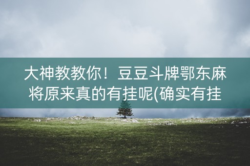 大神教教你！豆豆斗牌鄂东麻将原来真的有挂呢(确实有挂)