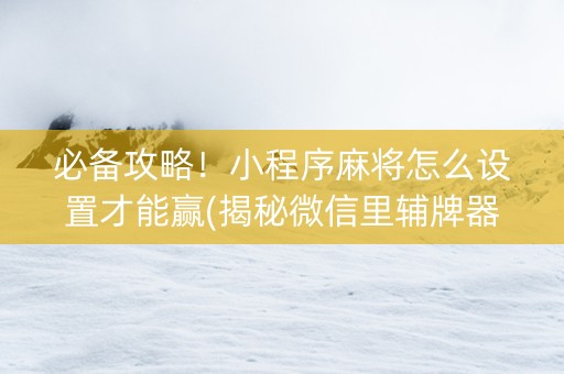 必备攻略！小程序麻将怎么设置才能赢(揭秘微信里辅牌器)