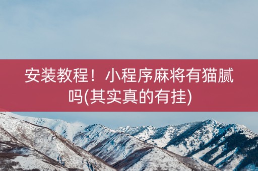 安装教程！小程序麻将有猫腻吗(其实真的有挂)